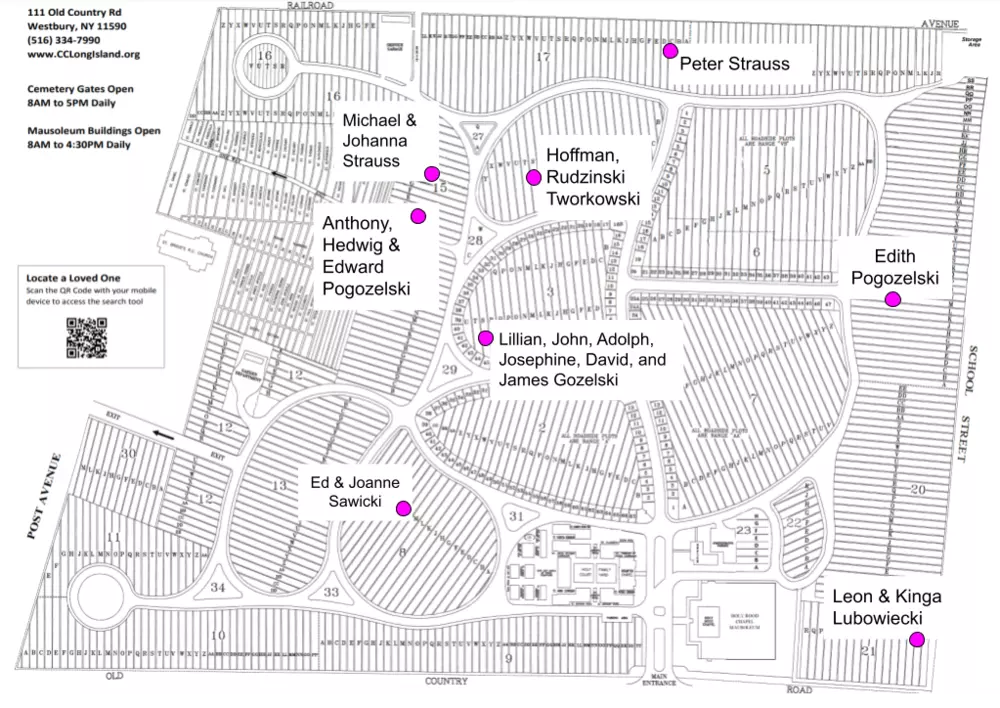 Holy Rood Strauss plots