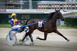 Harness racing sulky